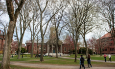 Le Harvard Yard du campus de l'Université Harvard à Cambridge, le 15 avril 2025 dans le Massachussetts ( AFP / Joseph Prezioso )