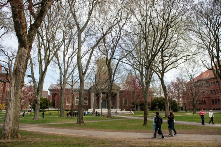 Le Harvard Yard du campus de l'Université Harvard à Cambridge, le 15 avril 2025 dans le Massachussetts ( AFP / Joseph Prezioso )