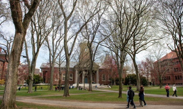 Le Harvard Yard du campus de l'Université Harvard à Cambridge, le 15 avril 2025 dans le Massachussetts ( AFP / Joseph Prezioso )