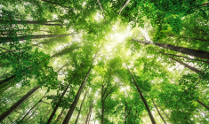 Flash info ODDO BHF Green Planet Juin 2022