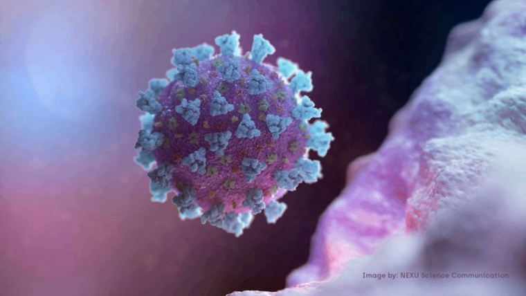 L'AGENCE MÉDICALE DE L'UE ÉTUDIE UNE TRANSMISSION AÉRIENNE DU CORONAVIRUS