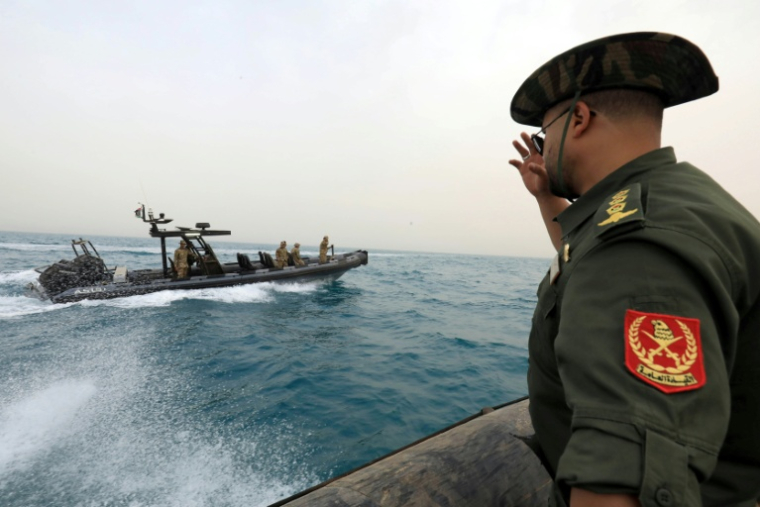 Des membres de l'Armée nationale libyenne prennent part à des manoeuvres militaires, le 16 mai 2026 dans le sud-est de la Libye ( AFP / Abdullah DOMA )