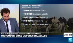 Mercosur : bras de fer tendu à Bruxelles