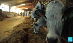 France : la colère des agriculteurs gronde