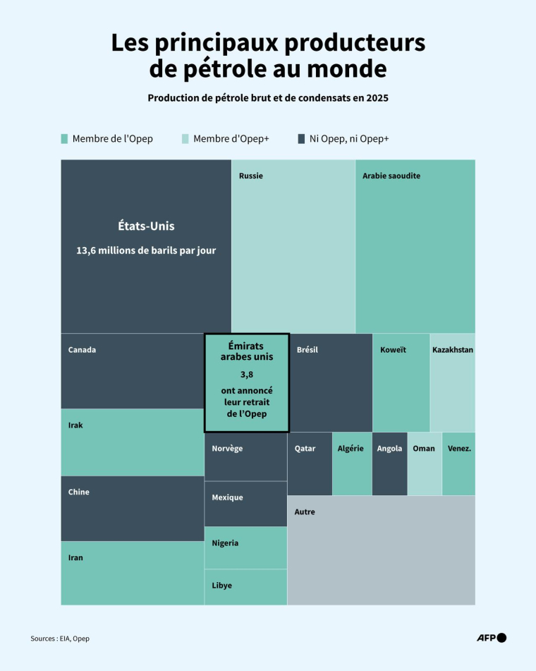 Production quotidienne de pétrole brut et de condensats par pays en 2025, d'après les données de l'Agence américaine d'information sur l'énergie (EIA), avec une coloration indiquant l'appartenance à l'Opep et à l'Opep+ ( AFP / Yann SCHREIBER )