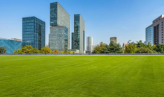 hallojulie/Shutterstock / hallojulie