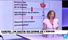 Cancer du poumon : résultats positifs d'un vaccin thérapeutique
