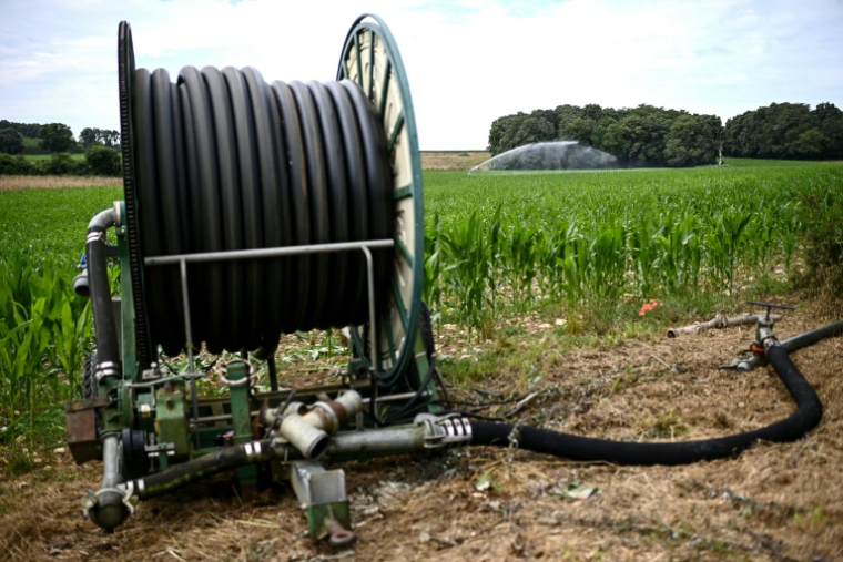 Pas d'agriculture sans eau", martèlent les agriculteurs, au début d'un siècle sous la pression du changement climatique ( AFP / Christophe ARCHAMBAULT )