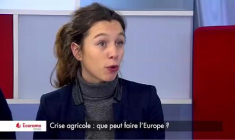 Crise agricole : que peut faire l’Europe ? (VIDEO)