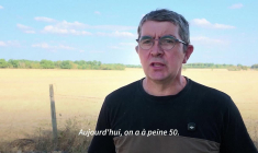 Face à des pâturages desséchés, un éleveur utilise son stock d'hiver