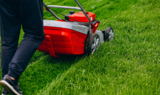 Les petits travaux de jardinage font partie des vingt-six activités éligibles au crédit d’impôt. (© Freepik)