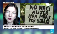Légalisation de l'avortement en Argentine : "un sujet qui divise la société depuis des années"