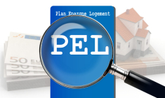 Un zoom sur le PEL. (© DR)
