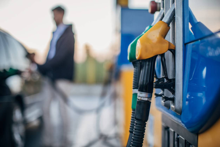 Huile de colza, pour ou contre son utilisation en carburant ? - iStock.com / south_agency