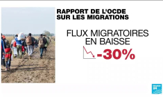 Migrations vers les pays de l'OCDE : une baisse record de 30 % en 2020