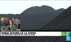 COP28 à Dubaï : mise en œuvre du fonds sur les "pertes et dommages" adoptée