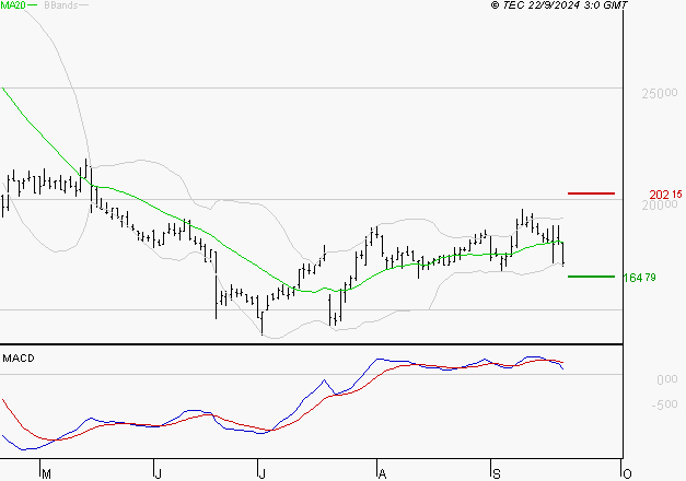 SARTORIUS STEDIM BIOTECH : Une consolidation vers les supports est probable