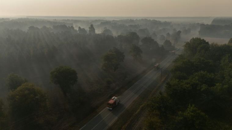 Des camions de pompiers circulent en direction d'un feu de forêt près de Marcheprime (Gironde), le 29 juillet 2026. ( AFP / Ed JONES )