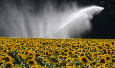 ( AFP / JEAN-FRANCOIS MONIER )