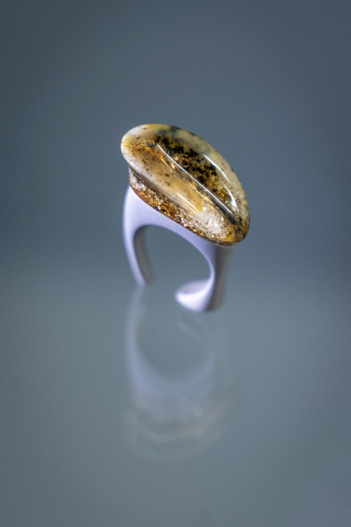 Une pièce de joaillerie en ambre de la Baltique créée par Slawomir Fijalkowski, enseignant à l'Académie des Beaux-Arts de Gdansk, le 10 mars 2026 à Gdansk, en Pologne  ( AFP / Wojtek RADWANSKI )