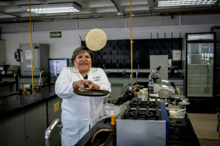 La docteure Raquel Gomez Pliego retourne une tortilla au laboratoire de micro-biologie de l'Université nationale autonome du Mexique (UNAM) à Mexico le 10 avril 2025 ( AFP / Carl de Souza )
