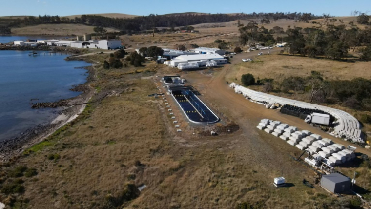 Vue aérienne de la ferme marine de Sea Forest à Triabunna, le 26 mars 2025 en Tasmanie ( AFP / Gregory PLESSE )