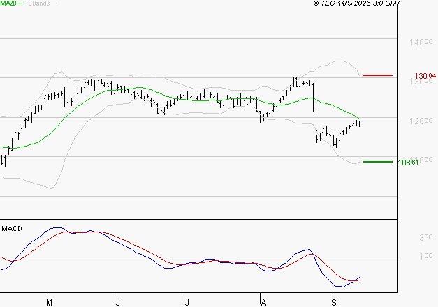 VINCI : Attendre un test du support