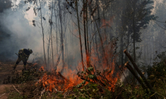 Un pompier tente d'éteindre la végétation en feu dans la ville de Penco, à la suite des incendies qui ont ravagé les environs de la ville de Concepción, au Chili, le 19 janvier 2026 ( AFP / Raul BRAVO )