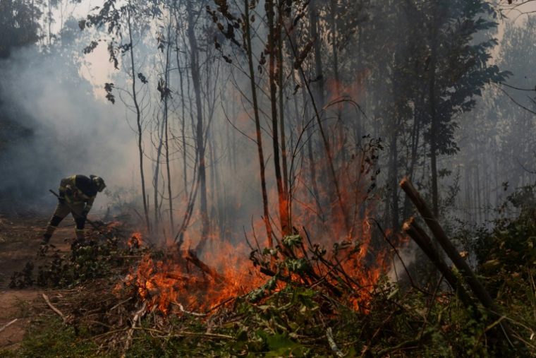 Un pompier tente d'éteindre la végétation en feu dans la ville de Penco, à la suite des incendies qui ont ravagé les environs de la ville de Concepción, au Chili, le 19 janvier 2026 ( AFP / Raul BRAVO )