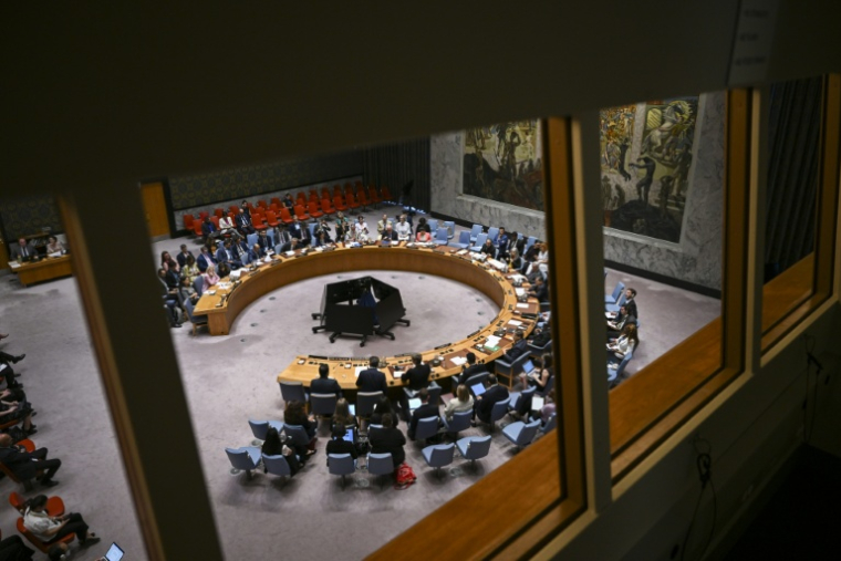 A l'initiative des Etats-Unis de Donald Trump, le Conseil de sécurité de l'ONU a apporté vendredi son soutien au plan marocain d'autonomie du Sahara occidental ( AFP / ANGELA WEISS )