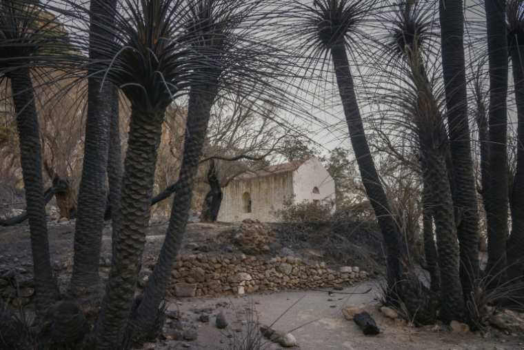 Des palmiers brûlés près d'une chapelle après un incendie sur l'île grecque de Crète, le 31 juillet 2026 ( AFP / Costas Metaxakis )