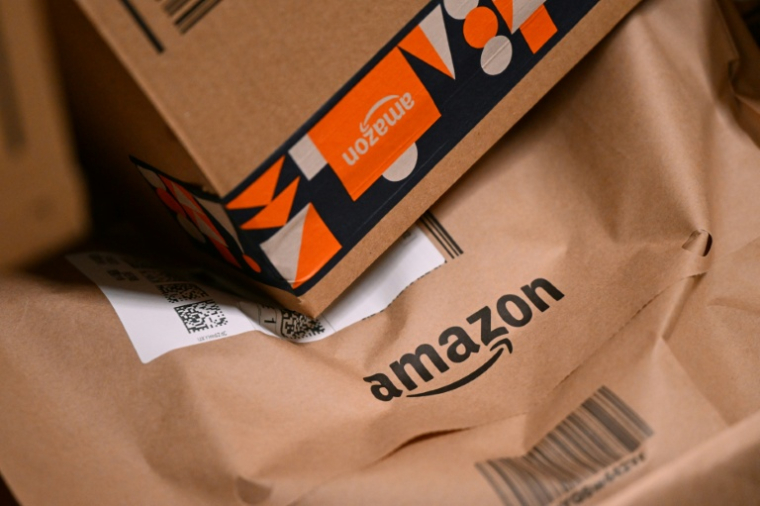 Amazon évalue à "plus de 100 millions d'euros" l'impact pour les Français de la loi qui impose depuis deux ans des frais de port de trois euros pour les achats de livres en ligne en dessous de 35 euros ( AFP / Ina FASSBENDER )