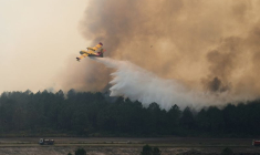 Incendies de forêt dans le sud-ouest de la France
