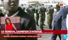 REPLAY - Sénégal : les Lions de la Teranga accueillis en héros à Dakar