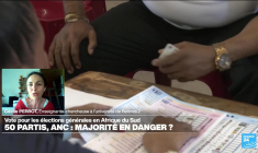 Législatives en Afrique du Sud : l'ANC, parti de Nelson Mandela, victime de l'usure du pouvoir ?