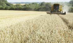 Le rendement de Terres Invest pourrait atteindre 3 à 4% par an.(© DR)