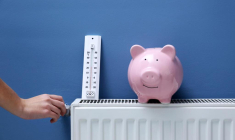 crédit photo : Africa Studio/Shutterstock / Africa Studio