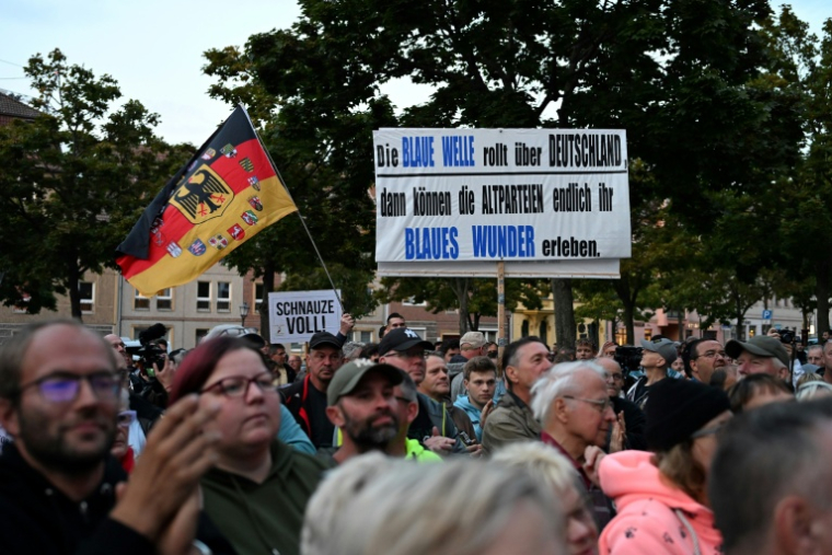 Un rassemblement du parti d'extrême droite AfD à Cottbus, en Allemagne, le 19 septembre 2024 ( AFP / RALF HIRSCHBERGER )