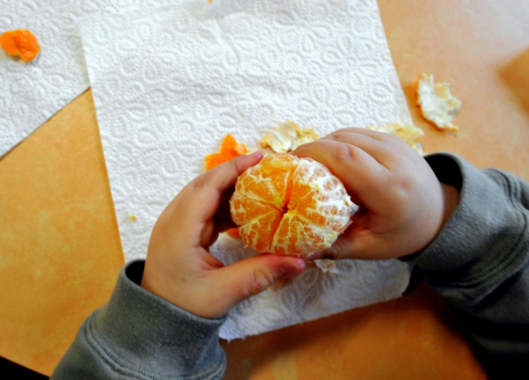 Un jeune enfant n'a pas moins de risque de devenir obèse quand ses parents ont été sensibilisés à la nécessité d'une alimentation équilibrée ou d'un mode de vie adapté, conclut une vaste étude internationale ( AFP / MYCHELE DANIAU )