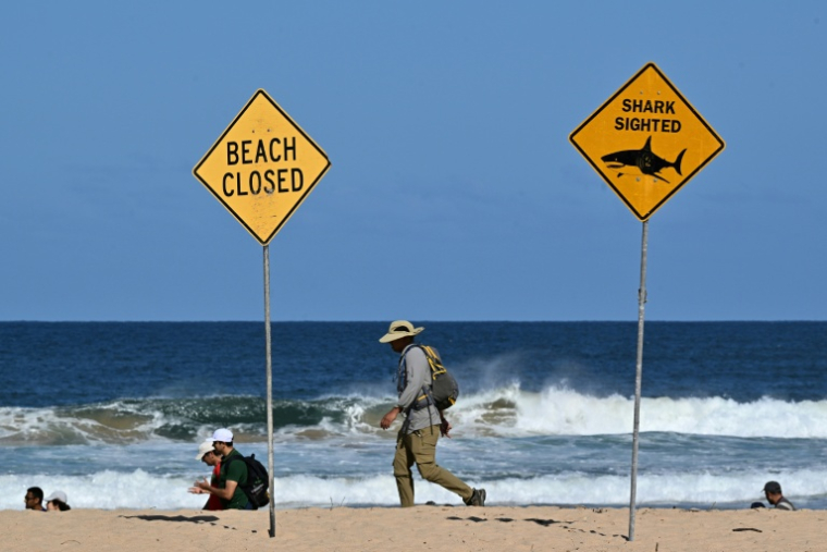 Des habitants sur une plage de Sydney fermée à la suite d’une attaque de requin à Long Reef Beach, le 6 septembre 2025. ( AFP / Saeed KHAN )