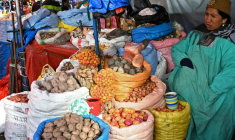 Une vendeuse propose des produits agricoles sur un marché de La Paz, en Bolivie, le 22 juin 2026 ( AFP / AIZAR RALDES )