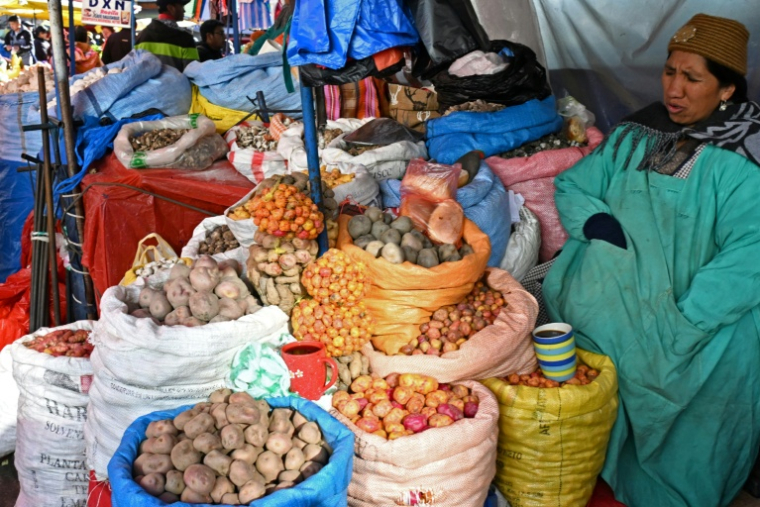 Une vendeuse propose des produits agricoles sur un marché de La Paz, en Bolivie, le 22 juin 2026 ( AFP / AIZAR RALDES )