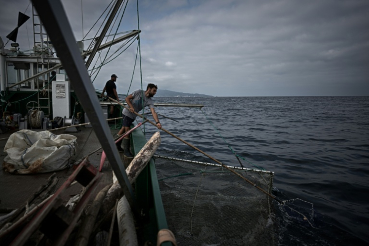 Des membres d'équipage de l'Itsas-Bellara récupèrent des déchets flottants au large de Saint-Jean-de-Luz, dans les Pyrénées-Atlantiques, le 8 septembre 2026 ( AFP / Philippe LOPEZ )