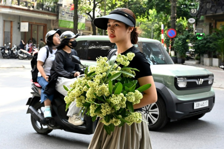 Une passante avec un bouquet de fleurs de lait d'un arbre hoa sua à Hanoï au Vietnam le 16 octobre 2026 ( AFP / Nhac NGUYEN )