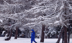TEMPÊTE BELLA: CHUTES DE NEIGE ET COUPURES DE COURANT DANS LE CENTRE DE LA FRANCE