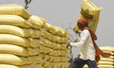 ( AFP / NARINDER NANU )