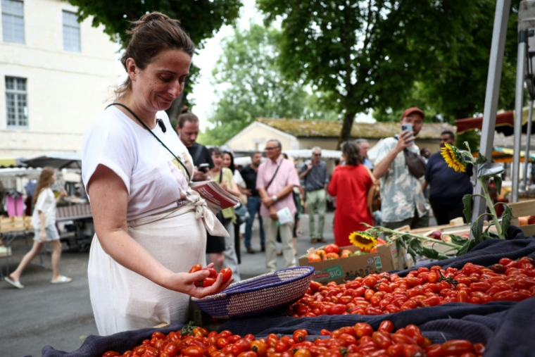 La patronne des Ecologistes Marine Tondelier, candidate à la présidentielle, en campagne à Issigeac (Dordogne), une des étapes de son Tour de France, le 28 juin 2026  ( AFP / ROMAIN PERROCHEAU )