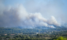 L'incendie près de Sigean, dans l'Aude, le 26 juillet 2025 ( AFP / Matthieu RONDEL )