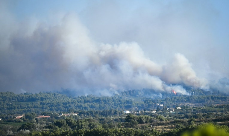 Incendie à Sigean, dans l'Aude, le 26 juillet 2025 ( AFP / Matthieu RONDEL )