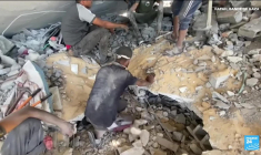 Israël dit avoir pris le contrôle de la zone tampon entre Gaza et l'Egypte